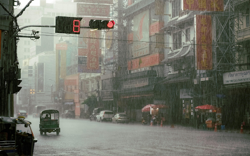 A Traffic Light on Road with Cars Under the Rain  from Chrome web store to be run with OffiDocs Chromium online