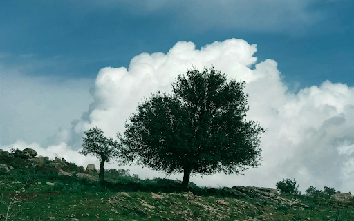 A Tree in a Verdant Landscape  from Chrome web store to be run with OffiDocs Chromium online