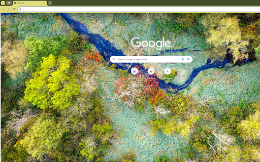 a tropical rainforest from a high vantage point  from Chrome web store to be run with OffiDocs Chromium online