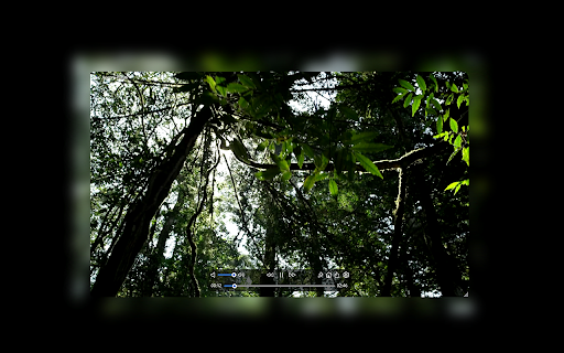 Aurora Player  from Chrome web store to be run with OffiDocs Chromium online