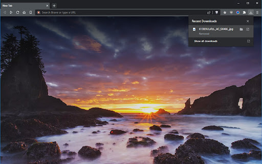 Auto Clear Downloads  from Chrome web store to be run with OffiDocs Chromium online