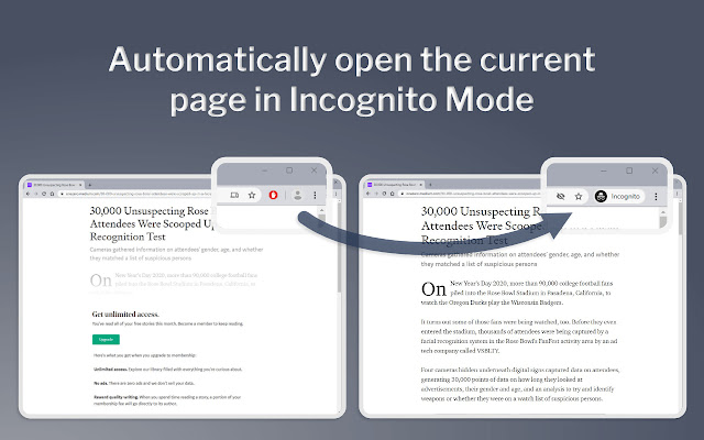 AutoIncognito  from Chrome web store to be run with OffiDocs Chromium online