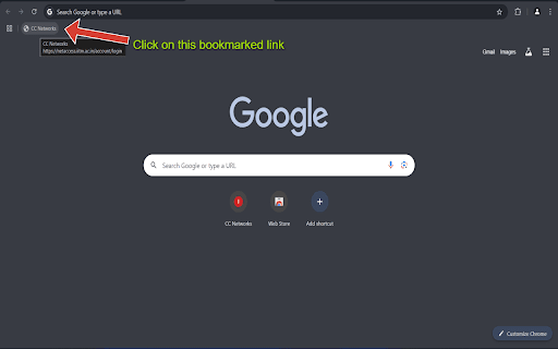 Automated NetAccess  from Chrome web store to be run with OffiDocs Chromium online