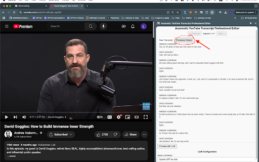 Automatic YouTube Transcript Professional Editor  from Chrome web store to be run with OffiDocs Chromium online