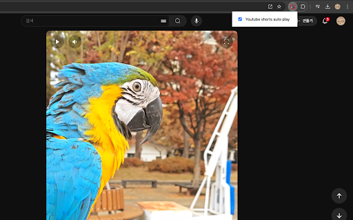 AutoShorts  from Chrome web store to be run with OffiDocs Chromium online