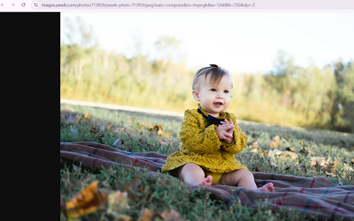 Autumn Afternoon Joy  from Chrome web store to be run with OffiDocs Chromium online