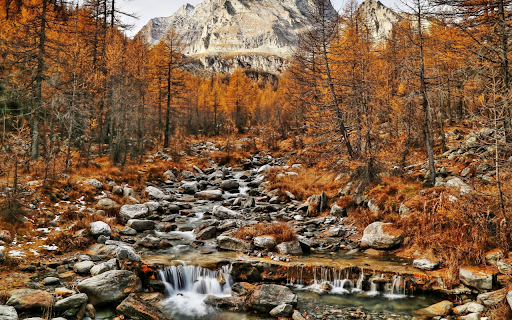 Autumnal Serenity  from Chrome web store to be run with OffiDocs Chromium online