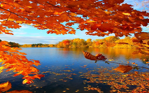 Autumn lake wallpaper  from Chrome web store to be run with OffiDocs Chromium online