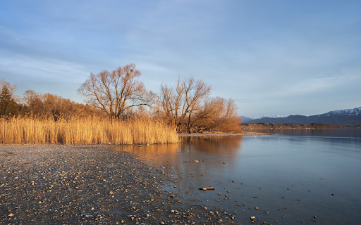 Autumn lake with yellow leaves  from Chrome web store to be run with OffiDocs Chromium online