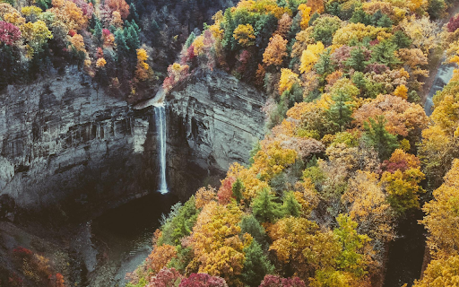 Autumn Mountain Forest  from Chrome web store to be run with OffiDocs Chromium online
