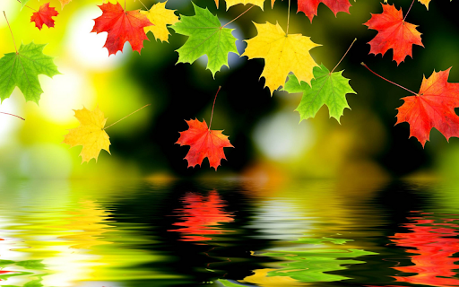 Autumn Reflection  from Chrome web store to be run with OffiDocs Chromium online