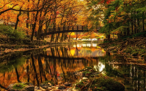 Autumn River Reflection  from Chrome web store to be run with OffiDocs Chromium online