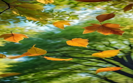 Autumn scene wallpaper  from Chrome web store to be run with OffiDocs Chromium online