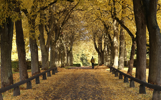 Autumn Stroll Through Park  from Chrome web store to be run with OffiDocs Chromium online