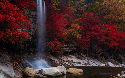 Autumn Waterfall Serenity  from Chrome web store to be run with OffiDocs Chromium online