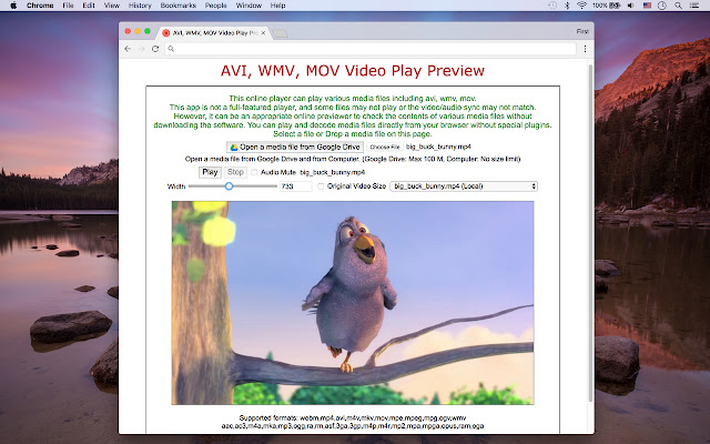 AVI, WMV, MOV Video Play Preview  from Chrome web store to be run with OffiDocs Chromium online