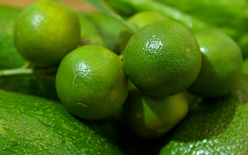 Avocado and lemon  from Chrome web store to be run with OffiDocs Chromium online