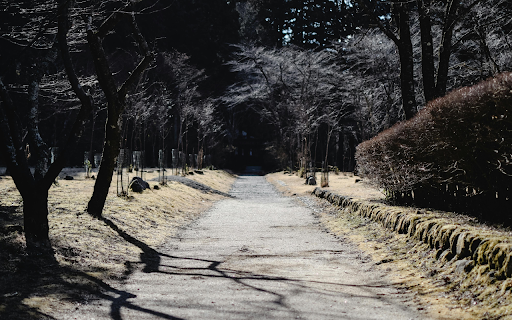 A Walkway at a Park in Nikko, Japan  from Chrome web store to be run with OffiDocs Chromium online