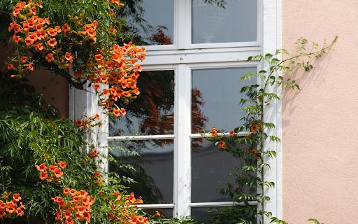 A window with flowers and vines growing around it  from Chrome web store to be run with OffiDocs Chromium online