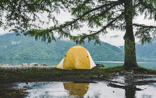 A Yellow Tent beside a Tree  from Chrome web store to be run with OffiDocs Chromium online