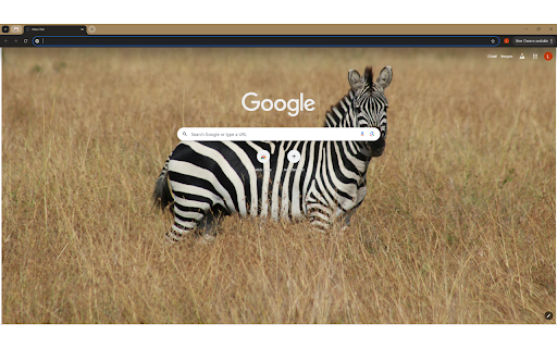 A Zebra in a Grassland  from Chrome web store to be run with OffiDocs Chromium online