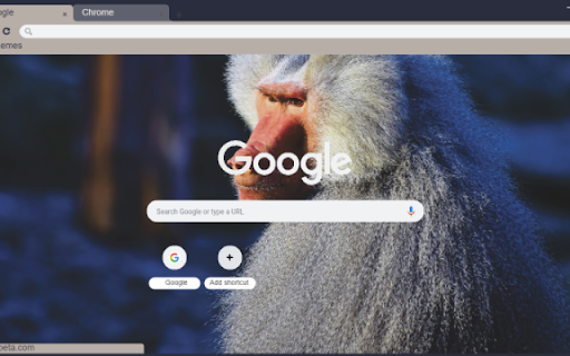 Baboon  from Chrome web store to be run with OffiDocs Chromium online