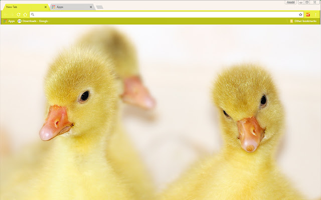 Baby Ducks  from Chrome web store to be run with OffiDocs Chromium online