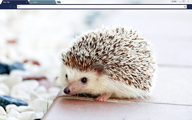 Baby Hedgehog dari kedai web Chrome untuk dijalankan dengan OffiDocs Chromium dalam talian
