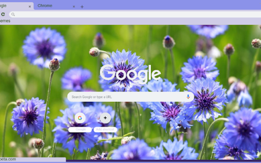 Bachelor’s Button  from Chrome web store to be run with OffiDocs Chromium online