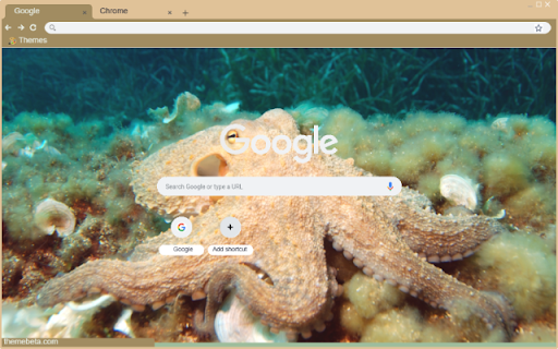 Bach tuoc  from Chrome web store to be run with OffiDocs Chromium online