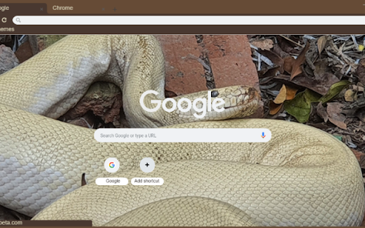 Bach xa  from Chrome web store to be run with OffiDocs Chromium online