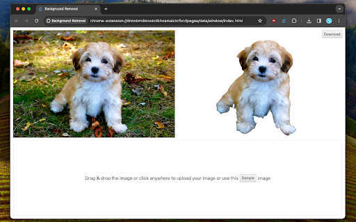 Background Removal  from Chrome web store to be run with OffiDocs Chromium online