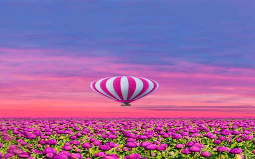 Balloon and tulip wallpaper  from Chrome web store to be run with OffiDocs Chromium online