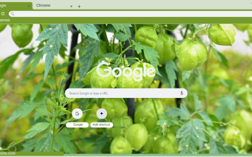 Balloon Vine  from Chrome web store to be run with OffiDocs Chromium online