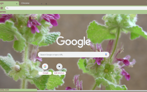 Ballota  from Chrome web store to be run with OffiDocs Chromium online