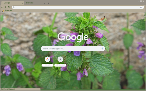 Ballota Nigra  from Chrome web store to be run with OffiDocs Chromium online