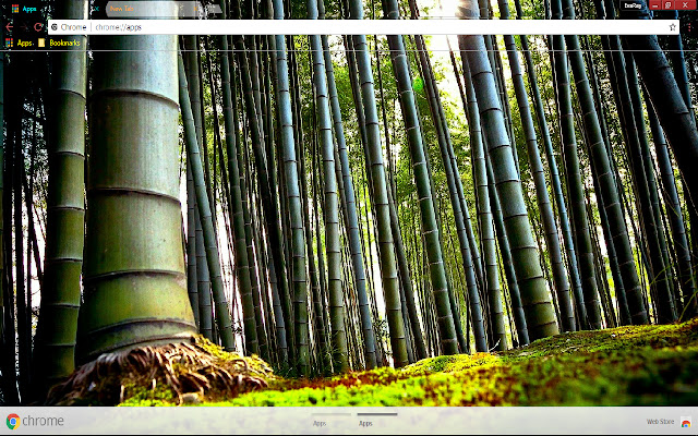 Bamboo Earth Forest  from Chrome web store to be run with OffiDocs Chromium online
