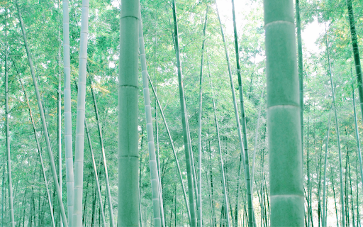 Bamboo Forest  from Chrome web store to be run with OffiDocs Chromium online