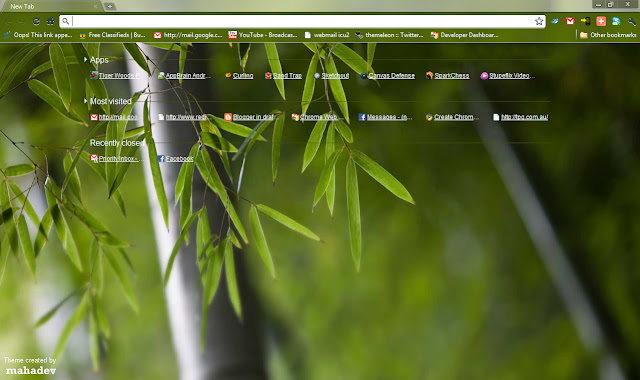 Bamboo Forest(2) 1280x800  from Chrome web store to be run with OffiDocs Chromium online