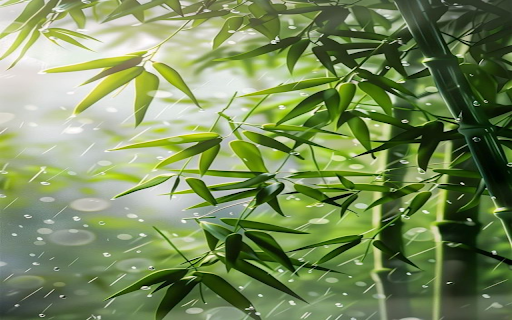 Bamboo tree in the rain wallpaper  from Chrome web store to be run with OffiDocs Chromium online
