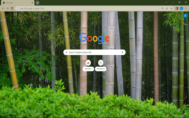 Bamboo Trees Theme  from Chrome web store to be run with OffiDocs Chromium online