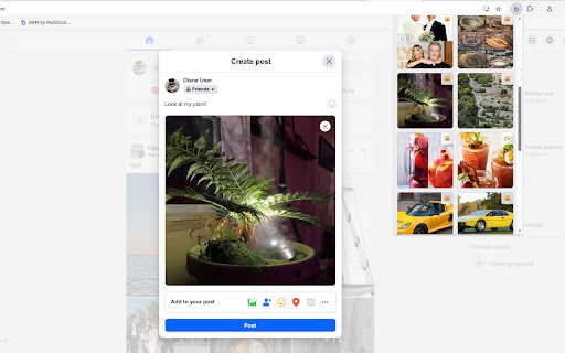 BAM de Multibrain din magazinul web Chrome va fi rulat online cu OffiDocs Chromium