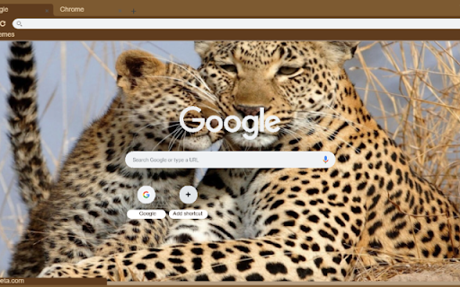 Bao Hoa Mai  from Chrome web store to be run with OffiDocs Chromium online