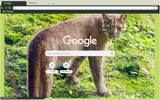 Bao lua  from Chrome web store to be run with OffiDocs Chromium online