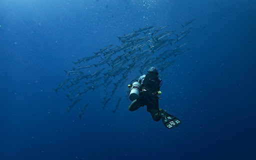 BarracudaTheme  from Chrome web store to be run with OffiDocs Chromium online