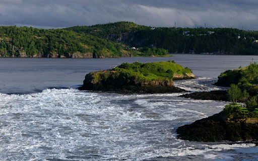 Bay of Fundy  from Chrome web store to be run with OffiDocs Chromium online