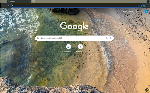 beach and seaweed  from Chrome web store to be run with OffiDocs Chromium online