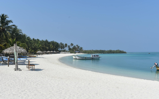 Beach huts  from Chrome web store to be run with OffiDocs Chromium online
