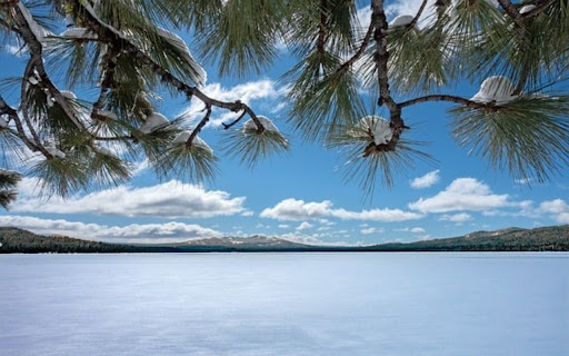 BEACH Theme  from Chrome web store to be run with OffiDocs Chromium online