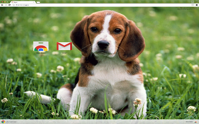 Beagle Dog de la boutique en ligne Chrome sera exécuté avec OffiDocs Chromium en ligne